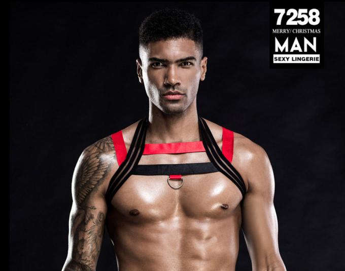 Сексуальное женское белье Bodysuit установило Sleepwear Catsuit проводки пижам жилета ′ s людей горячий эротичный